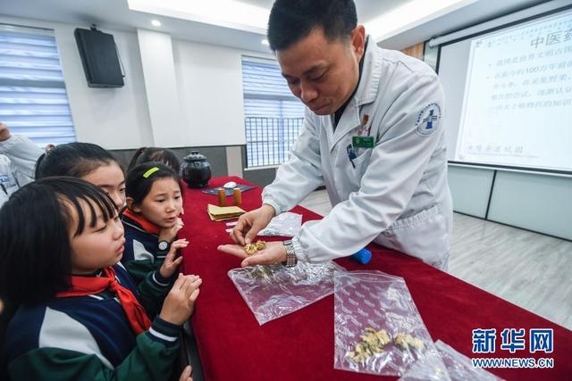 中医药文化进校园