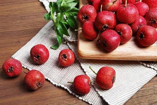 含有|春节饮食宝典送给您，让您健康美食两不误