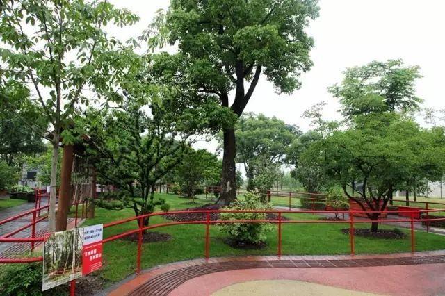 上观新闻|藏太深,原来《微微一笑很倾城》等热门影视剧取景地都在这些公园里