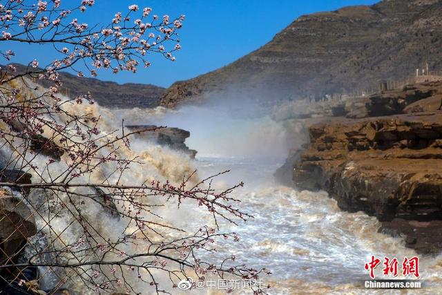『旅行百事通』黄河壶口瀑布迎来“桃花汛”彩虹相伴景色壮美