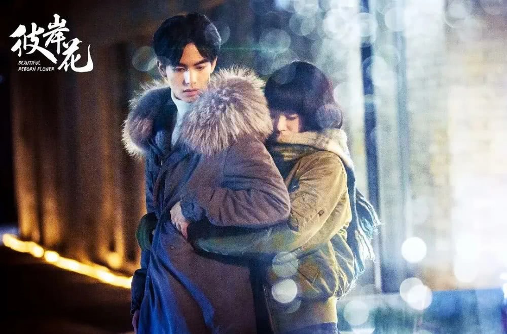 当前电视剧热度榜Top5:《秋蝉》跌至第四,《长相守》挤进前二糖果儿