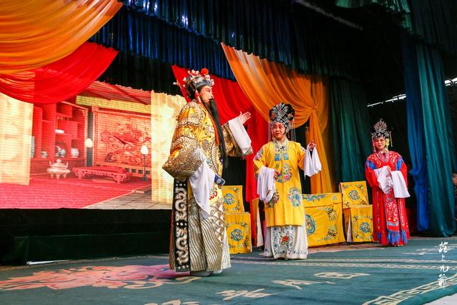 「世界那么大」古镇的古树都长到古宅的房间里了 奇怪的是却名不见经传