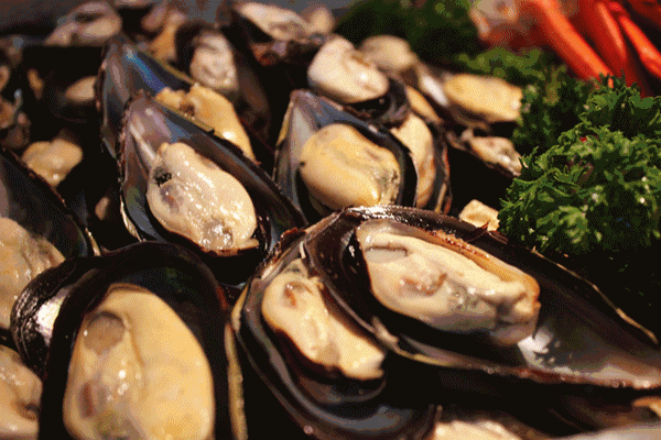 「趣旅游」藏不住了，原来你是这样的防城！