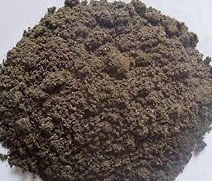 养花|花盆里扔3种“粉末”，半年不施肥照样生长旺盛