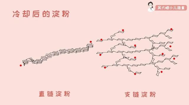 纯美小青年|小儿调养 | 宝宝吃粽子不好消化？附：儿童吃粽子指南