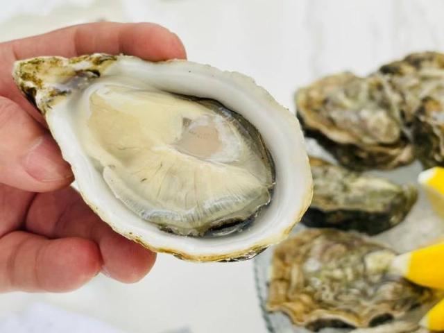 吃货|生蚝已过最佳赏味期？才不是！好吃的生蚝多得很呐