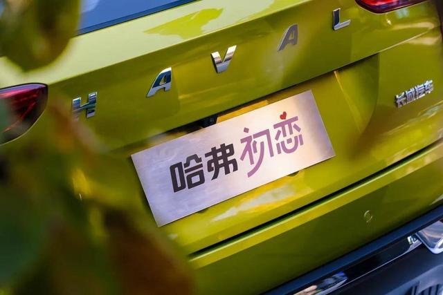 这些新车1月上市 哪款最适合回家过年？