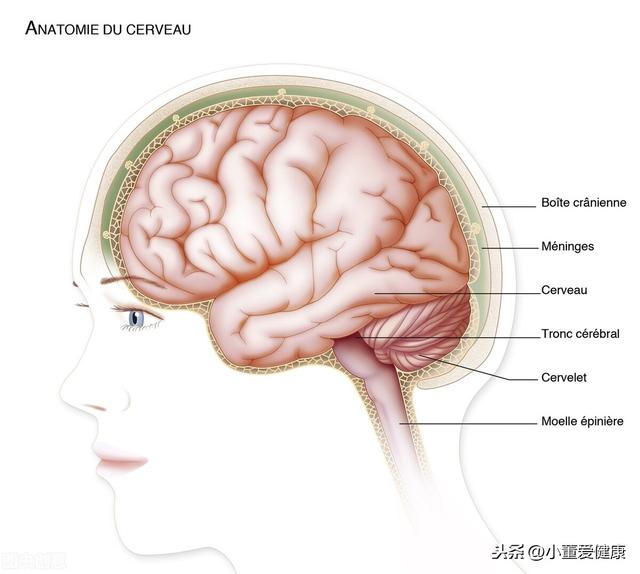 男子因按摩导致突发眩晕，医生说竟然是得了脑梗塞，病情很严重