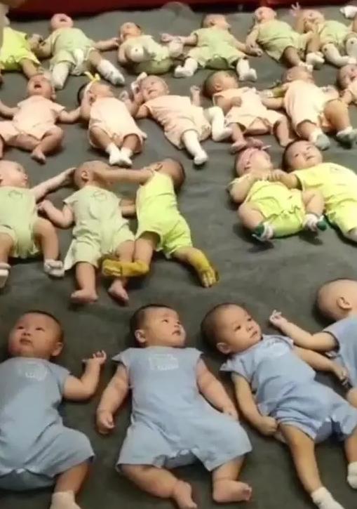 你的育儿经|上午接生六男一女，妈妈笑言女儿是“撑船的”，为啥男孩扎堆生？