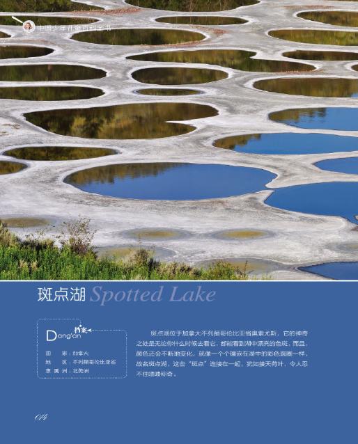 守护我家|好奇心，孩子探索世界的钥匙，家长做到这3点，满足孩子好奇心