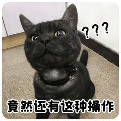 超级宝妈|实力“坑娃”!宜春一4岁小孩竟然开车上路