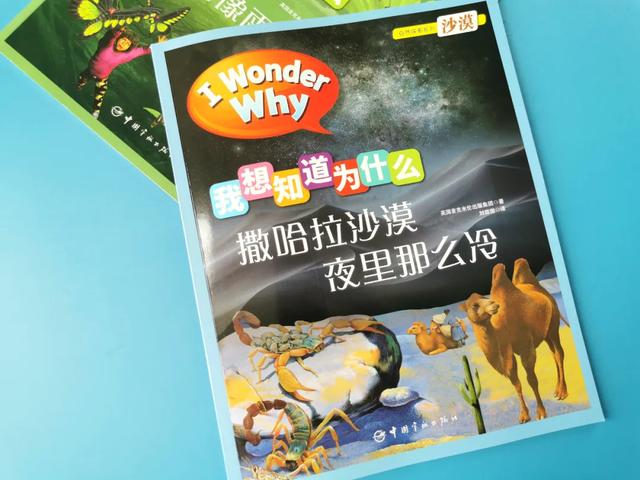 「影视交流地」黄圣依被5岁儿子嫌弃却获赞无数:用百科书喂大的孩子眼界不一般