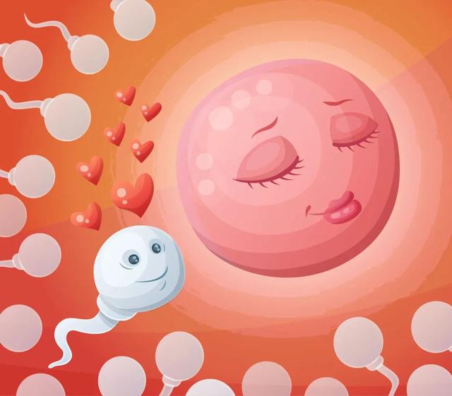 你的育儿经▲生育力现状、何时该生娃、产后咋避孕……科普网赛满满的干活来了