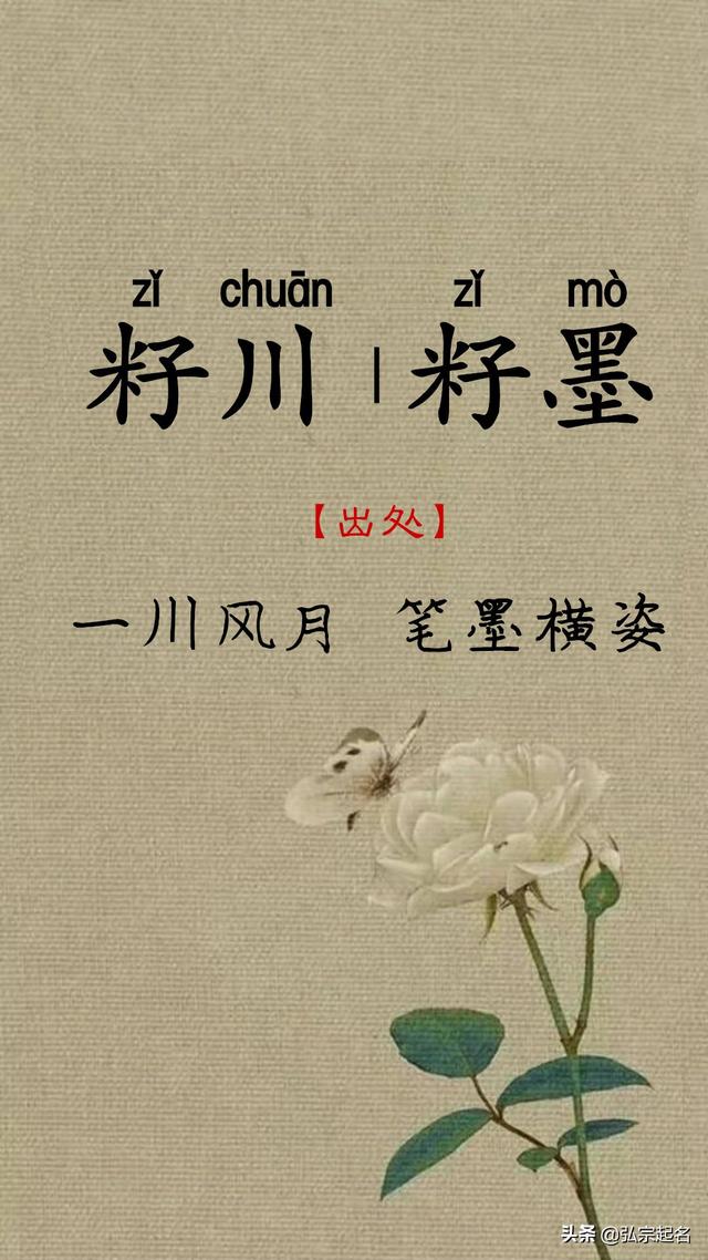 「超级宝妈」一儿一女起通用鼠宝宝名字