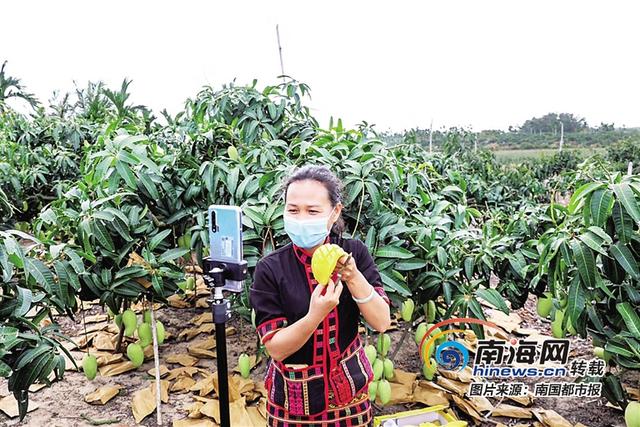南海网■“直播带货”怎么玩？海南电商告诉你
