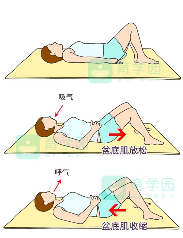 你的育儿经:产后太“松”很尴尬?一招教你“紧”回来