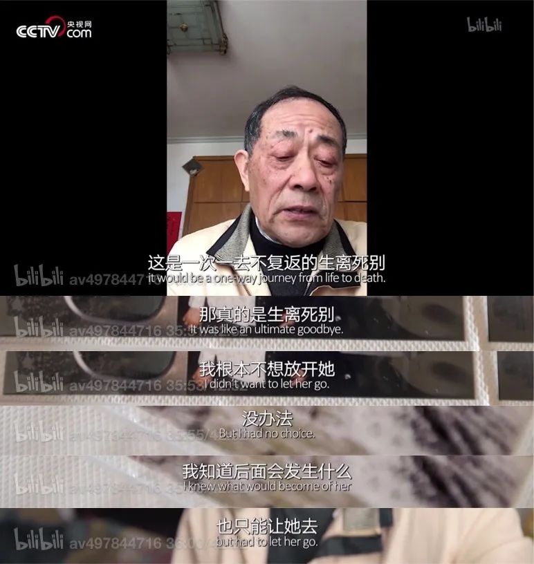 栀蓝：让1000万人又笑又哭的“人生第一次”：我们的孩子，好像一眨眼就长大了