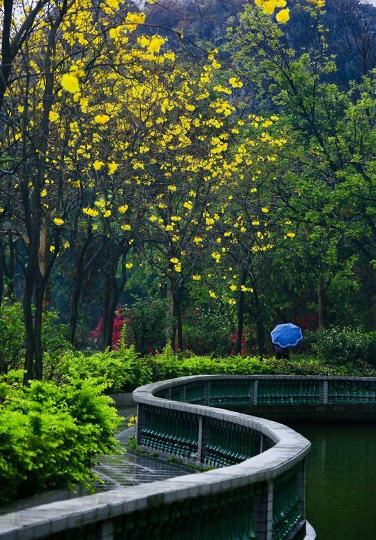 趣旅游@战“疫情” | 来星湖种下春天的希望,收获七彩的花海