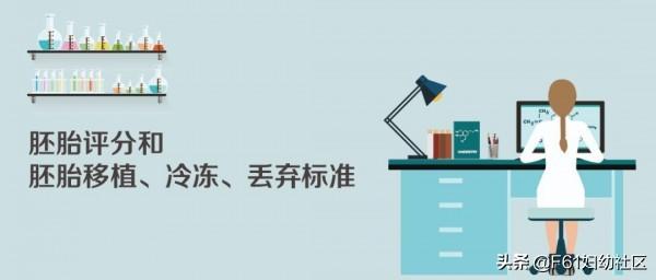 生活矜持点|试管婴儿胚胎评分和胚胎移植、冷冻、丢弃标准