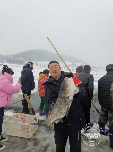 不施肥,不用药的方法纯生态绿色养殖,同时可净化松花湖水体,而且管理