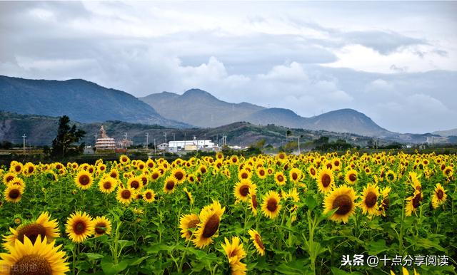 令人难过的是那一团混乱