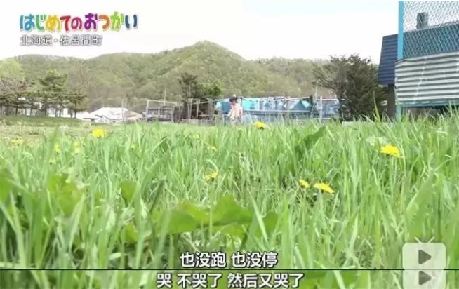 『栀蓝』三岁女孩独自出门采购 | 孩子，是在大人看不见的地方长大的