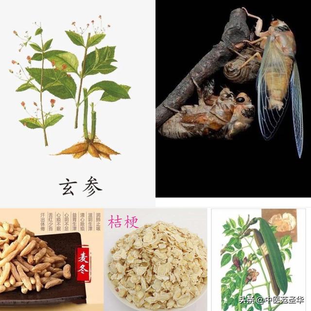 咽炎：咽喉疼痛还有痰？中医治疗效方一则（附咽炎茶饮方）