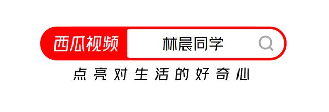 起得比鸡早，睡的比狗晚，你快乐吗？给生活降点速，西瓜视频实拍