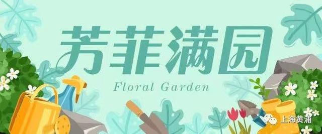 修剪|芳菲满园丨“超级变变变”，夏日散尾叶大改造