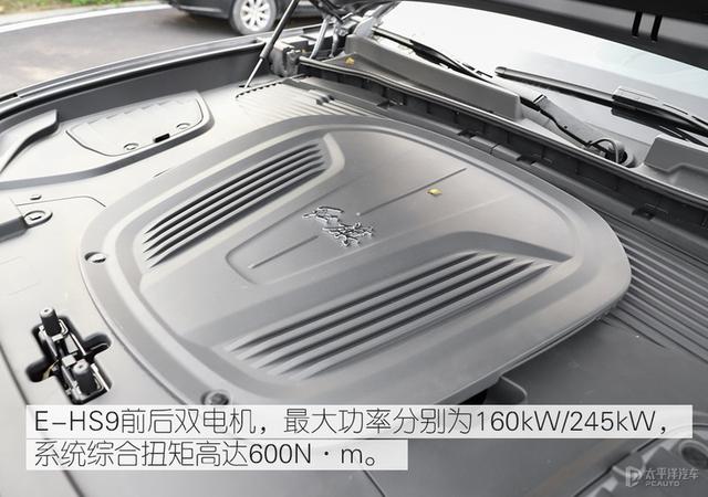 实拍红旗E-HS9：可匹敌新势力的豪华车？