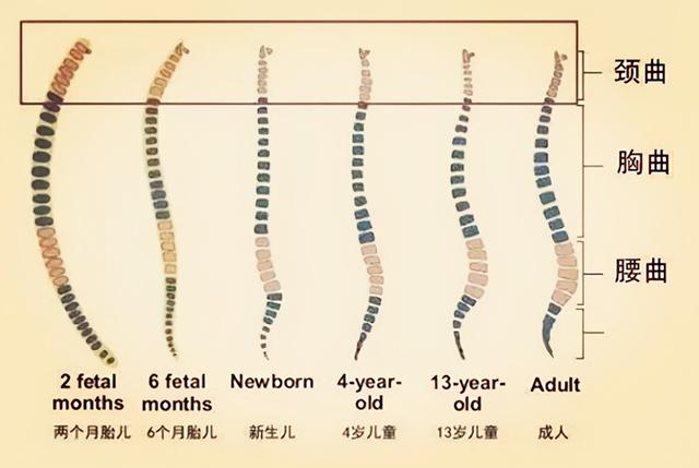 宝宝出现这3个信号时，预示妈妈该给他准备小枕头啦，妈妈别忽视