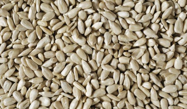 瓜子|哦！原来是大脑在奖励我自己