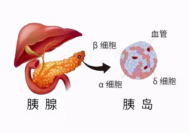 中医防治糖尿病的5点优势