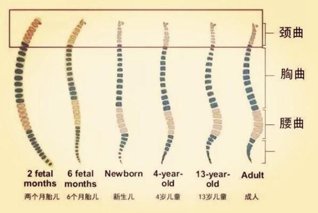 你的育儿经|从小睡枕头和不睡枕头的孩子，有何区别？不谨慎处置危害可不小