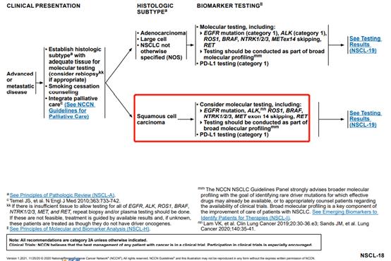 一文梳理 | 2021 V1 NCCN非小细胞肺癌更新要点