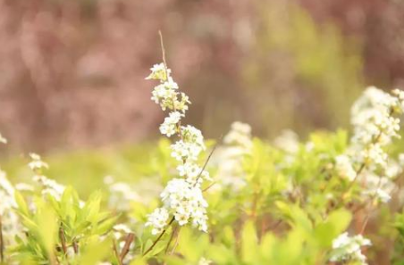 快替孩子存下吧,很难找全的!家长都不一定会的知识!