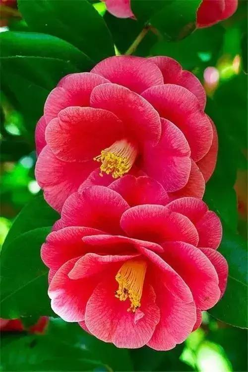 快把惊蛰祝福送给朋友们吧! 惊蛰到了, 愿你春风得意,幸福安康!