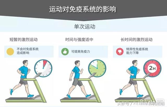 为什么你天天运动还是经常生病?教你提高免疫力的方法