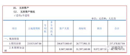 你好世界杯 上市公司里的球员资产:无形资产漫