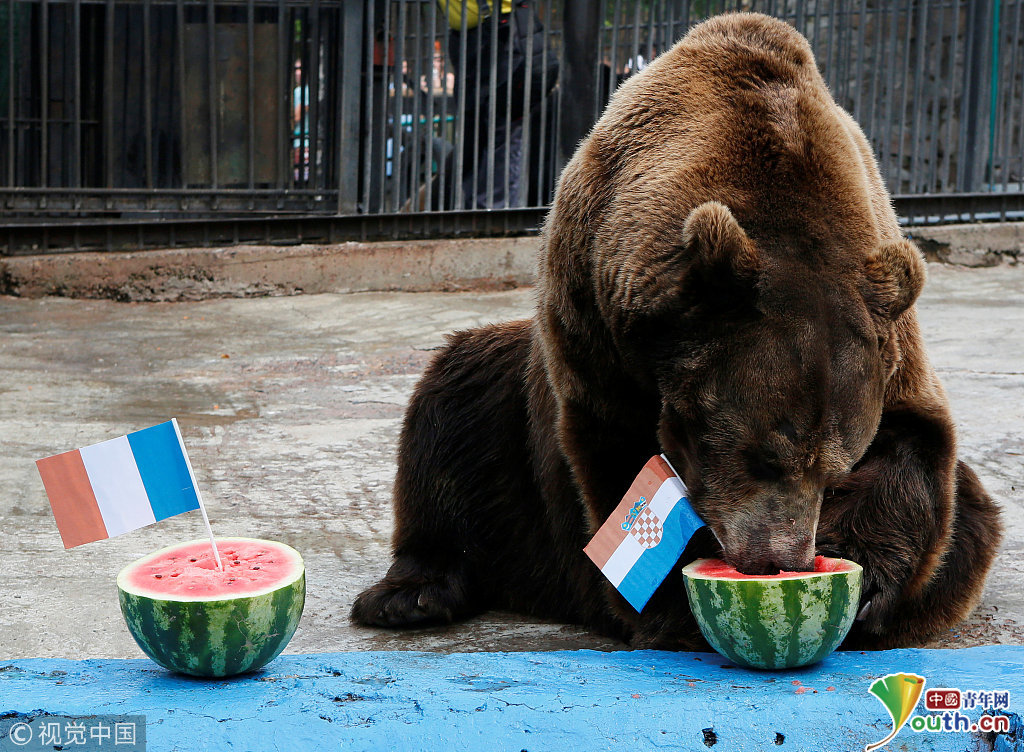 2018俄罗斯世界杯决赛前瞻:预测大军再添一员