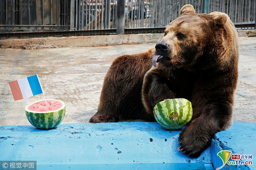 2018俄罗斯世界杯决赛前瞻:预测大军再添一员