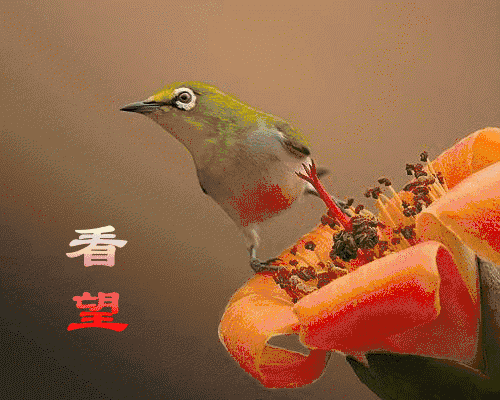 500_400gif 动态图 动图