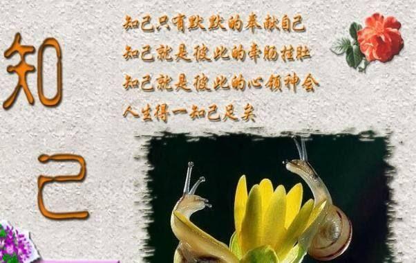 人生得一知己,是幸运,更是福气!