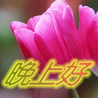 9月19晚上好!祝你平安健康,愿你天天有个好心情!晚安!好梦!