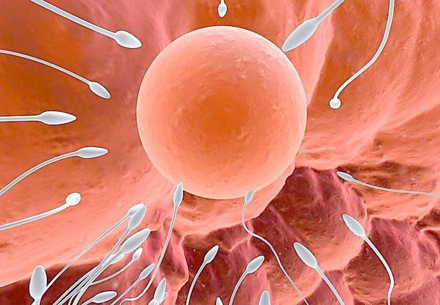 好孕早知道，从排卵到着床的这几天，你有哪些特别的感觉？