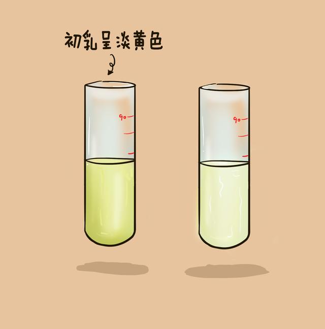 母乳在这一阶段最有营养，可许多人都浪费了