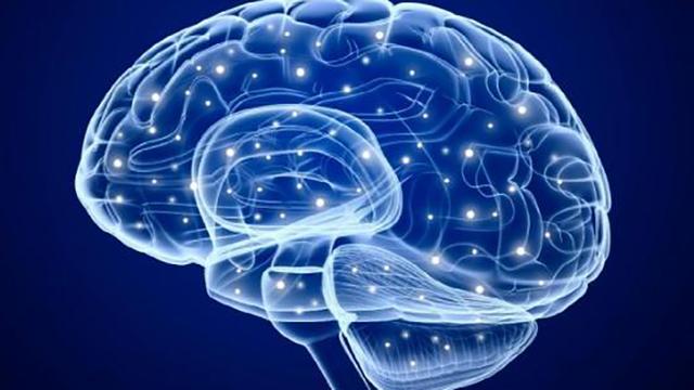 宝宝大脑发育更聪明，离不开这5个因素，最后一个最需要爸妈