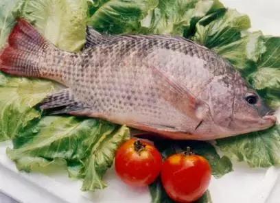 辅食路上，给宝宝吃鱼的正确方式