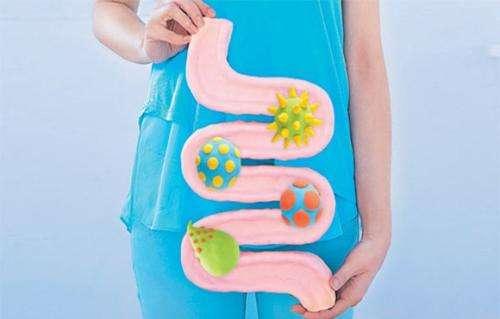 秋季备孕如何进补？记住4个字，助你养出好身体！