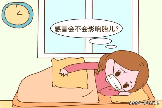 辟谣：孕期生病了不能吃药，只能硬扛？孕妈别犯傻